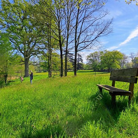 Domaine Des Roches Blanches Villa Le Pin  Екстериор снимка
