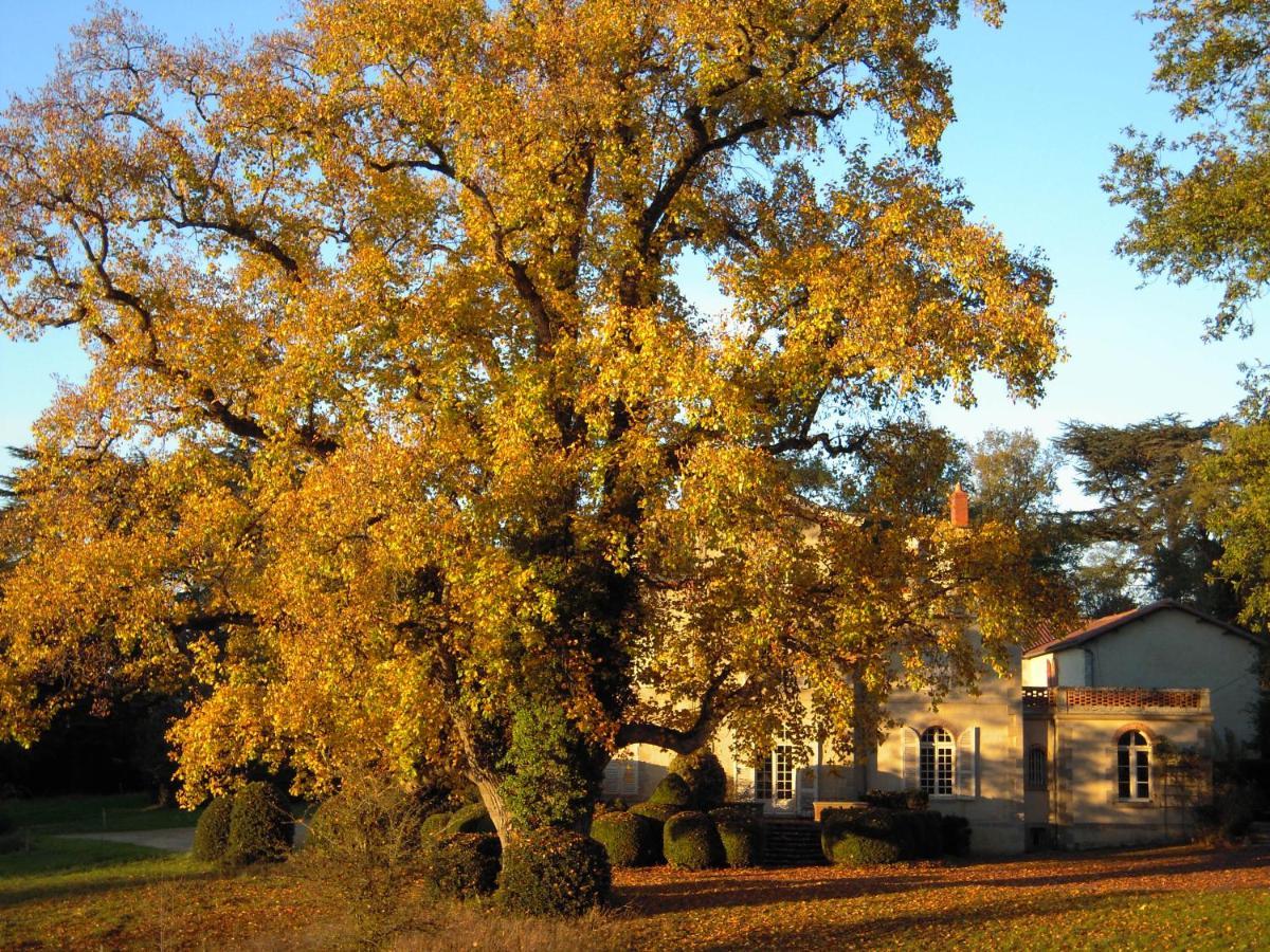 Domaine Des Roches Blanches Villa Le Pin  Екстериор снимка
