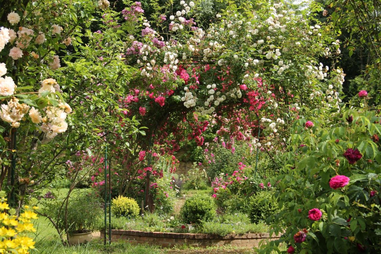 Domaine Des Roches Blanches Villa Le Pin  Екстериор снимка