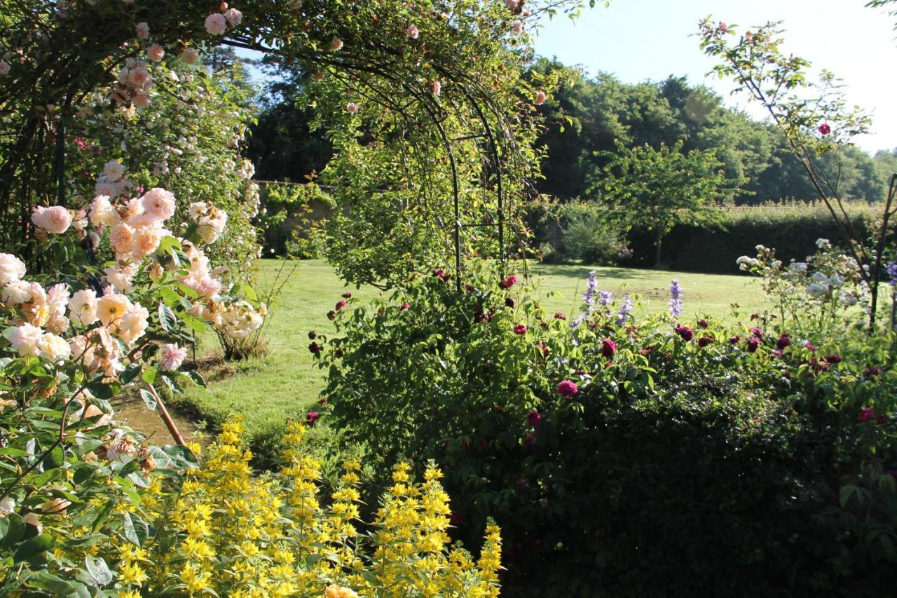 Domaine Des Roches Blanches Villa Le Pin  Екстериор снимка