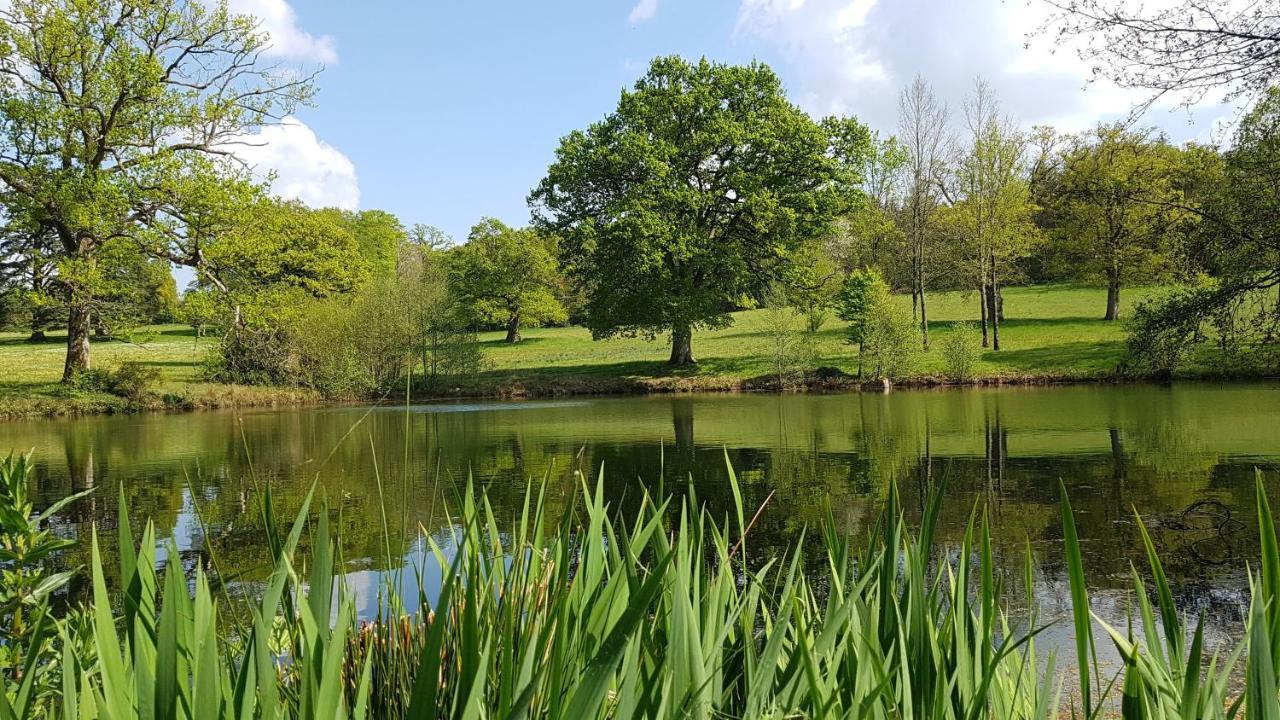 Domaine Des Roches Blanches Villa Le Pin  Екстериор снимка
