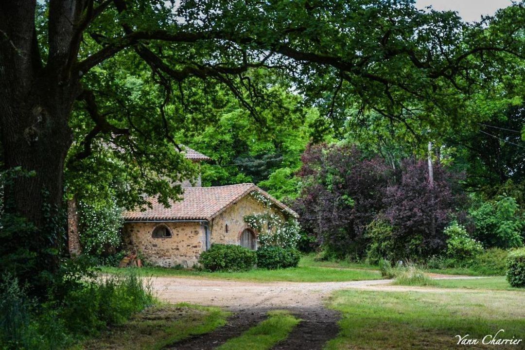 Domaine Des Roches Blanches Villa Le Pin  Екстериор снимка