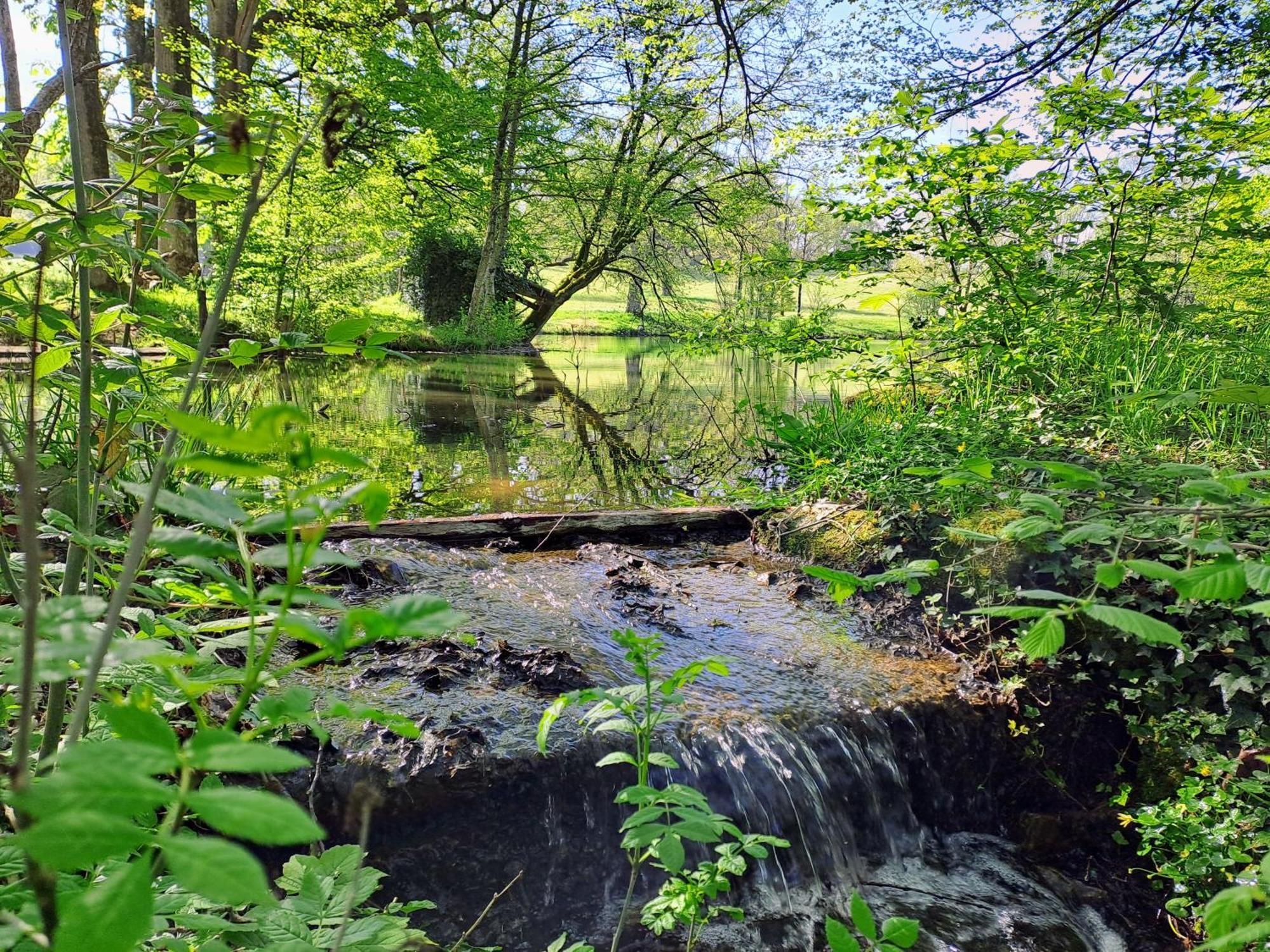 Domaine Des Roches Blanches Villa Le Pin  Екстериор снимка