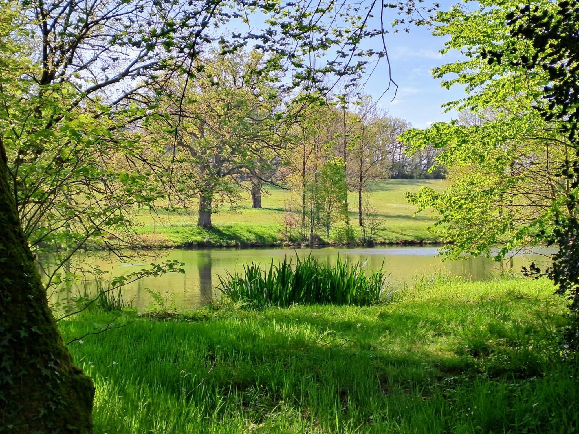 Domaine Des Roches Blanches Villa Le Pin  Екстериор снимка