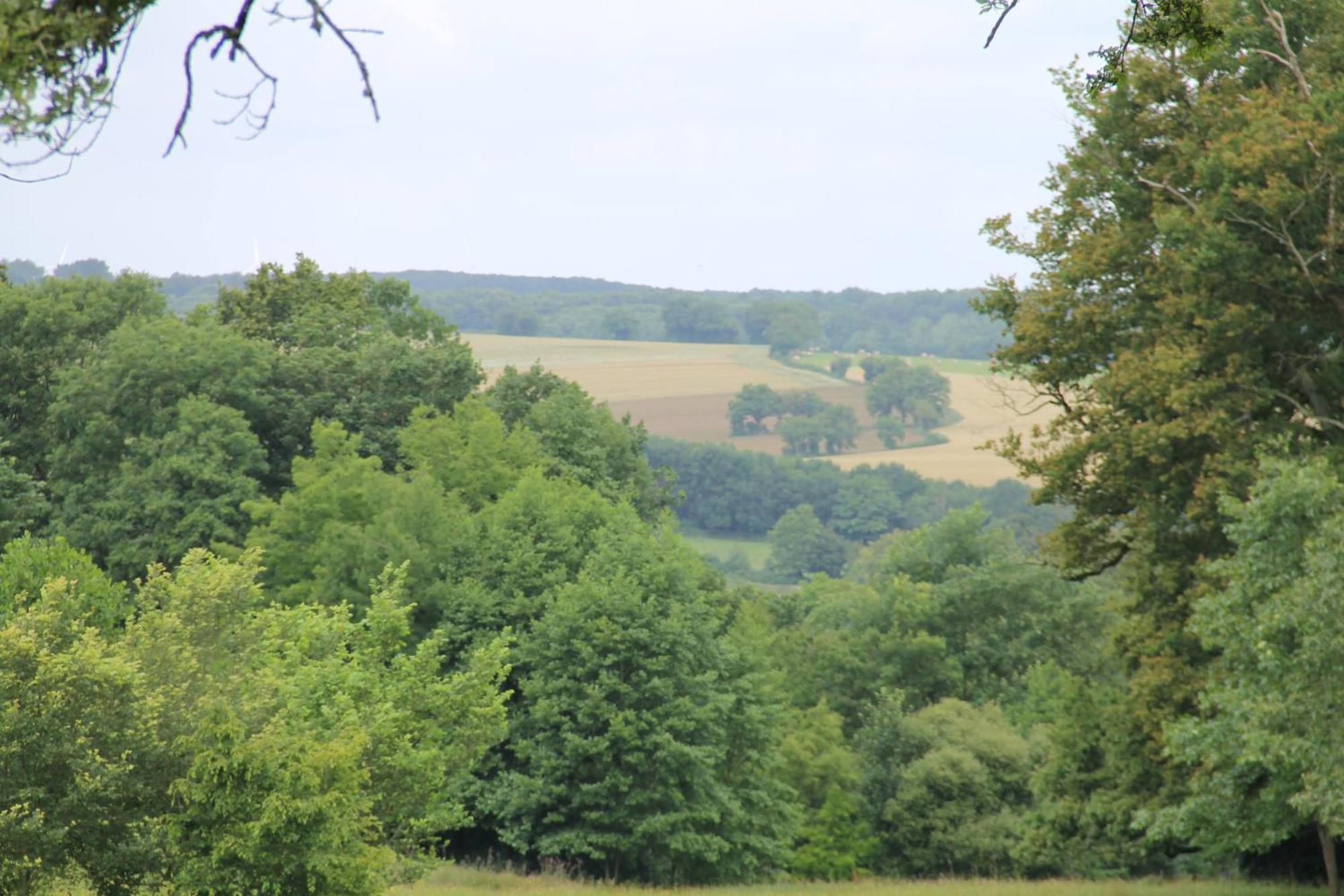 Domaine Des Roches Blanches Villa Le Pin  Екстериор снимка