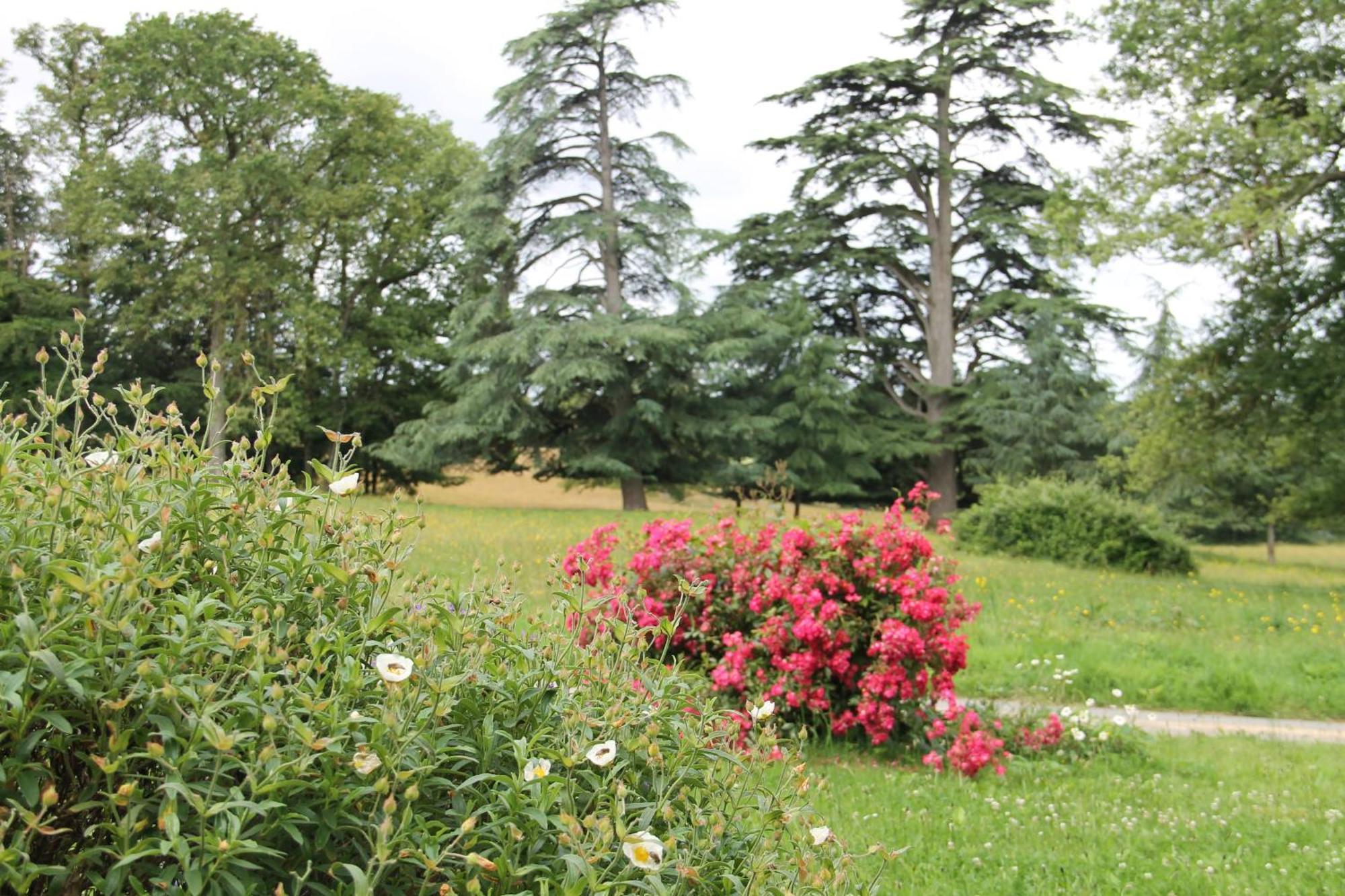 Domaine Des Roches Blanches Villa Le Pin  Екстериор снимка