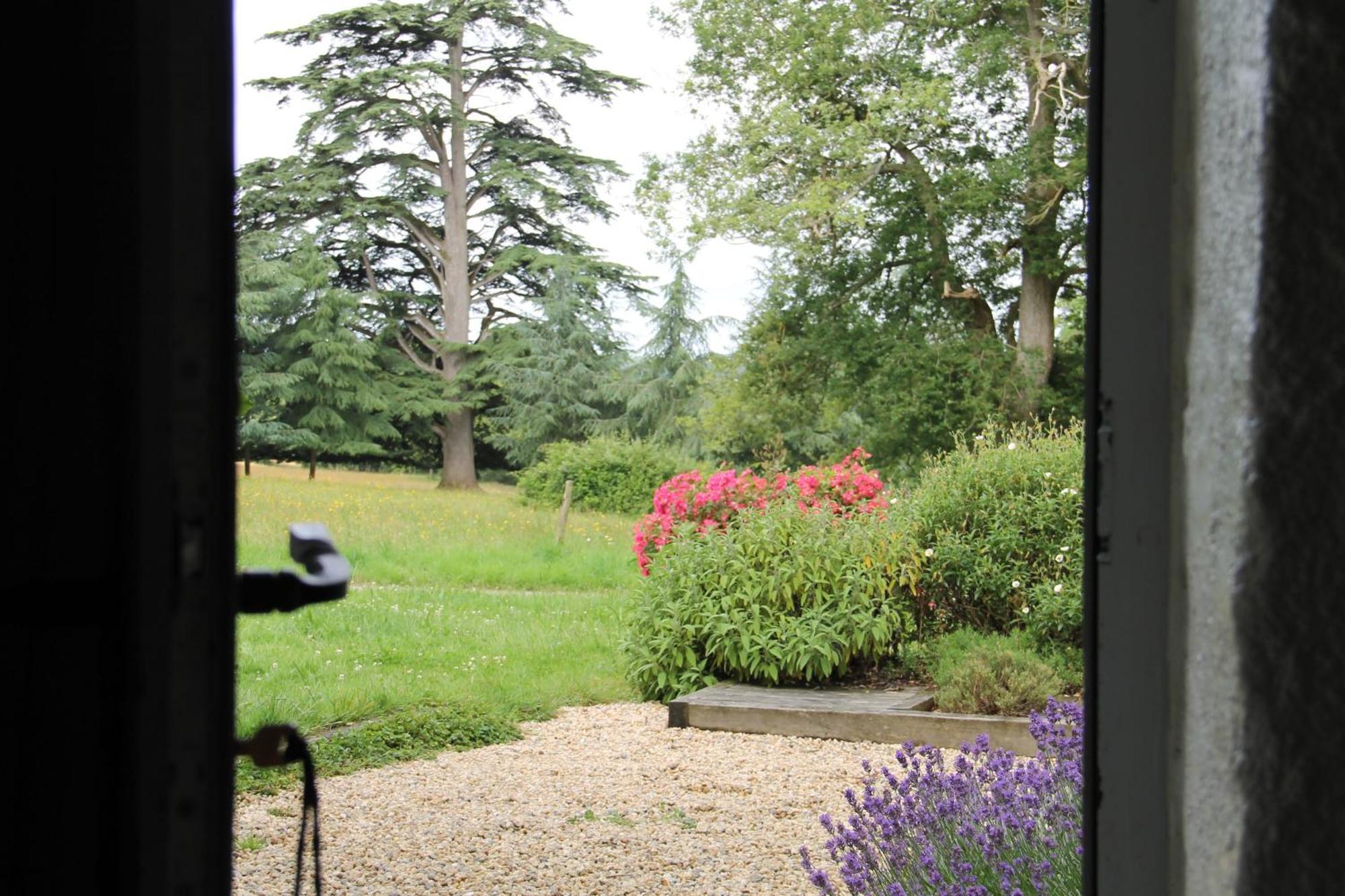 Domaine Des Roches Blanches Villa Le Pin  Екстериор снимка