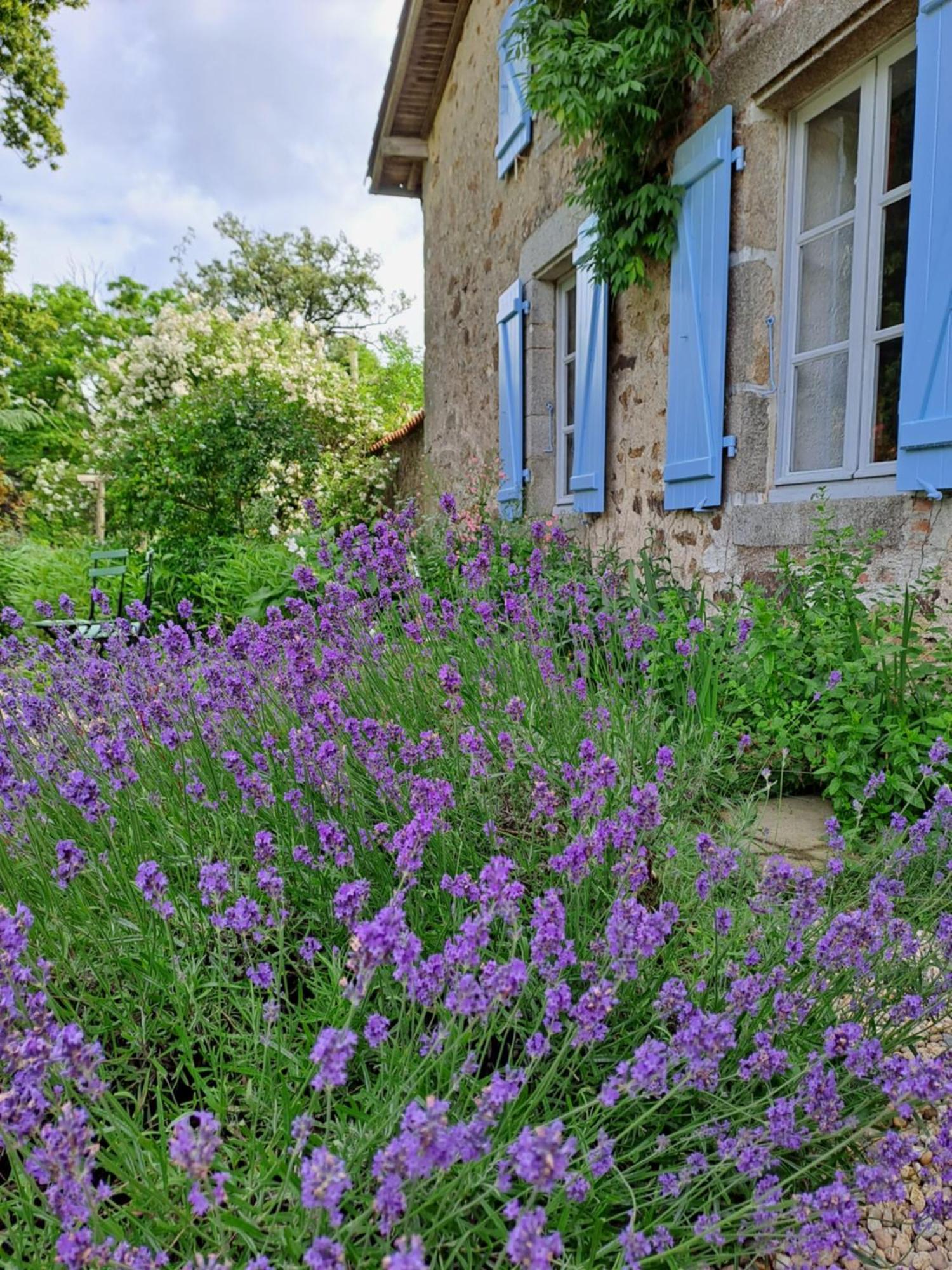 Domaine Des Roches Blanches Villa Le Pin  Екстериор снимка