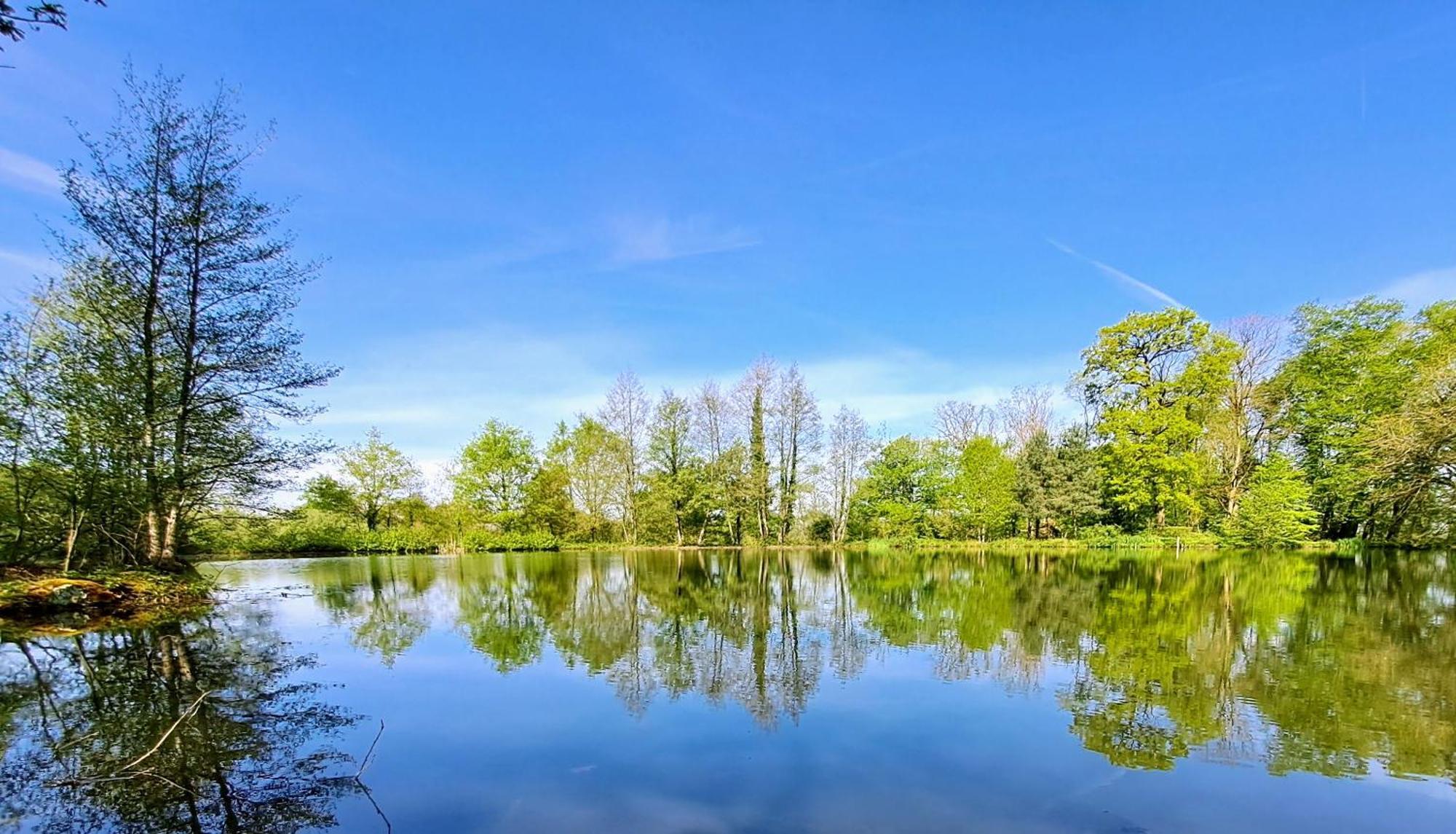 Domaine Des Roches Blanches Villa Le Pin  Екстериор снимка
