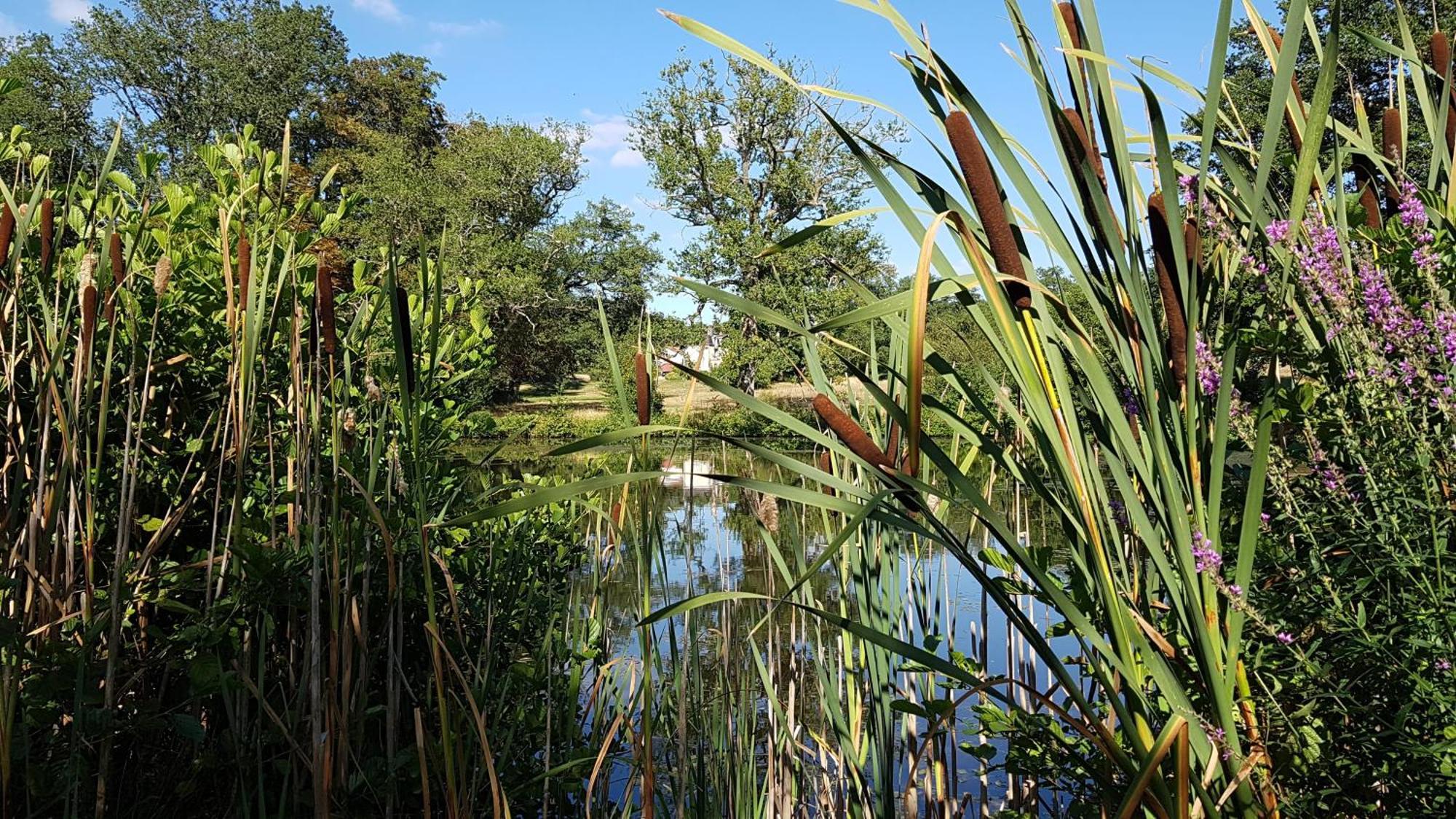 Domaine Des Roches Blanches Villa Le Pin  Екстериор снимка