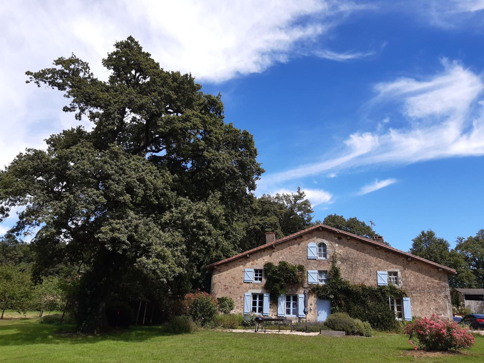 Domaine Des Roches Blanches Villa Le Pin  Екстериор снимка