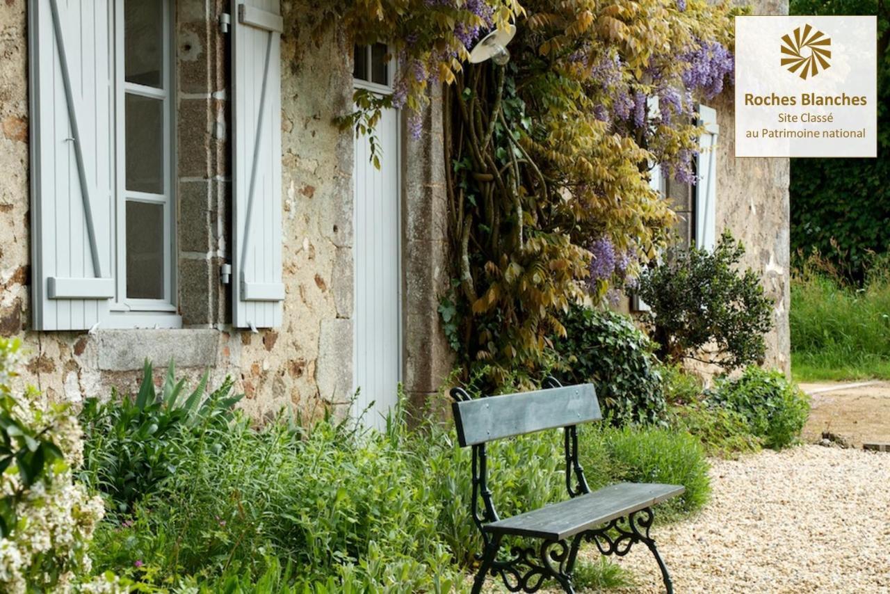 Domaine Des Roches Blanches Villa Le Pin  Екстериор снимка